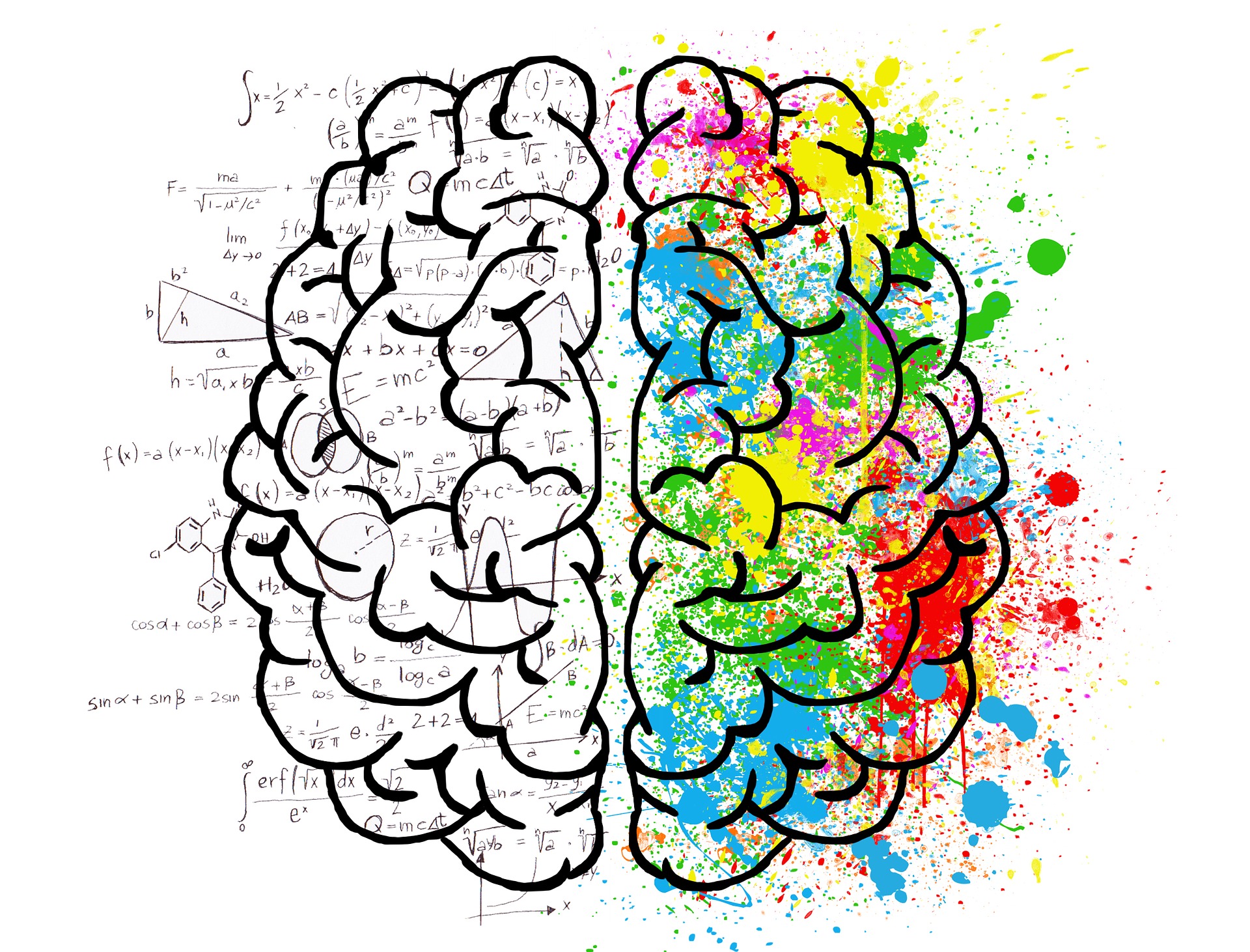 brain-2062057_1920 home