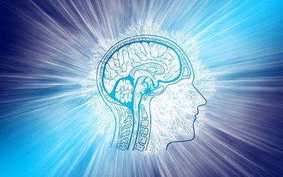 Philosophy of the social brain at work