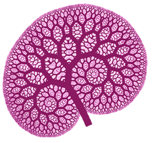 logo_neuro