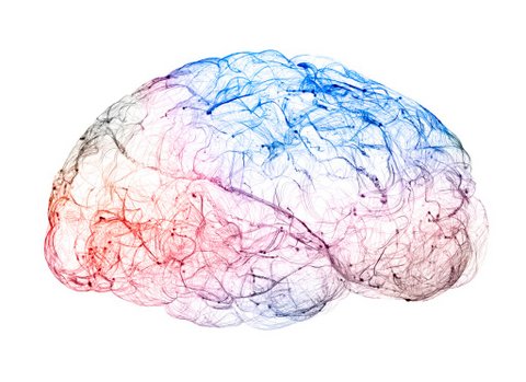 watermark brain